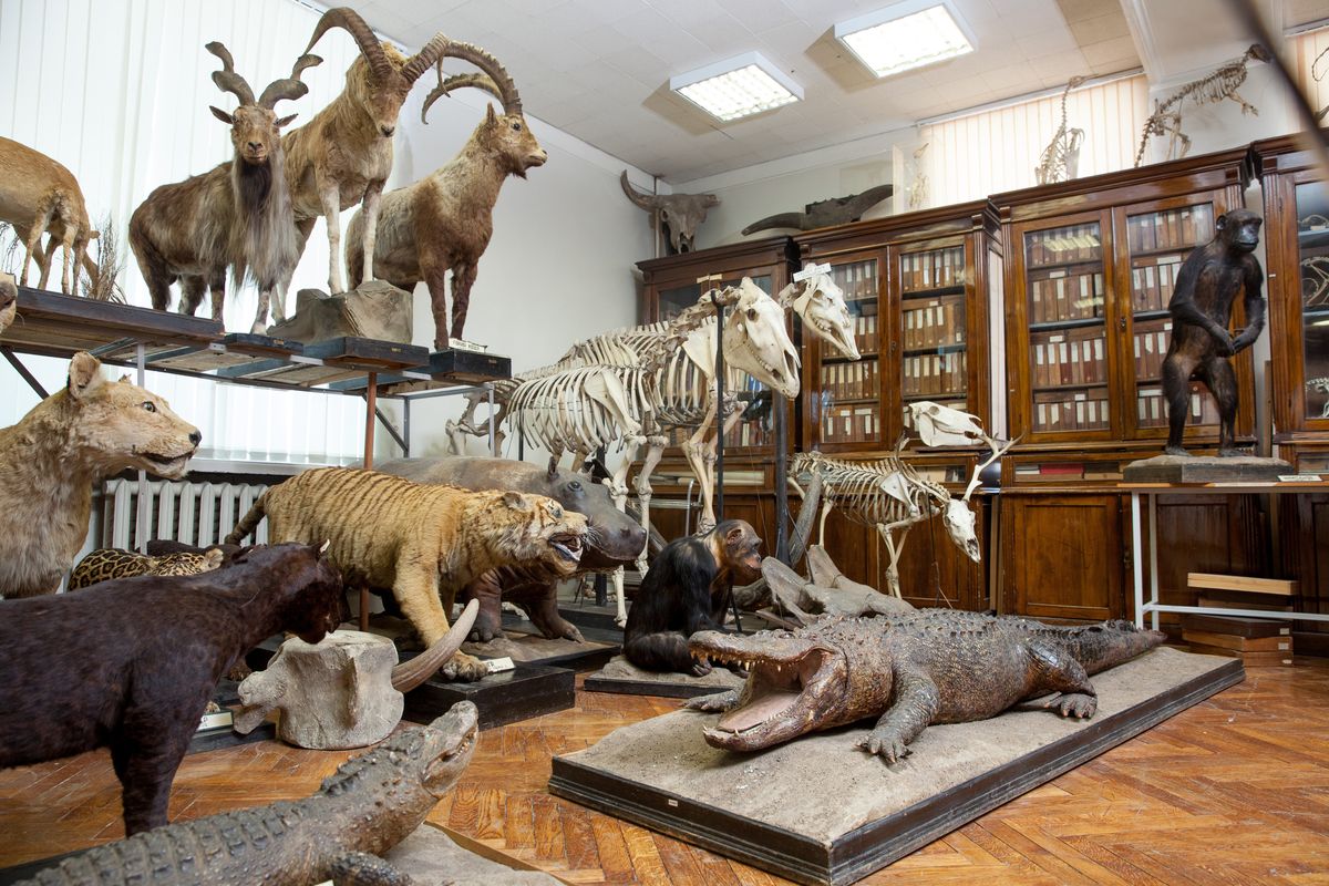 unn biological-17